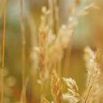 [高雄] 查理布朗咖啡店~ 台灣首家以花生漫畫人物為主題的餐廳