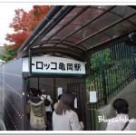 京都嵯峨野觀光小火車