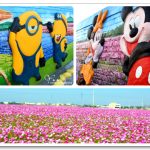 [彰化埔鹽] 南新社區立體彩繪村~ 農村花海逍遙遊