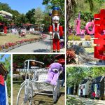 [彰化芬園] 今夜星辰休閒農場~ 浪漫拍照好去處