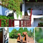 [台中新社] 森の王子~ 眺望新社270度大景觀