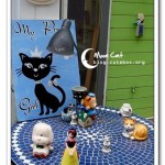 [台中東海] 月亮與貓 Moon&Cat