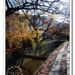 [京都] 哲學之道~日本極為知名的賞櫻名所