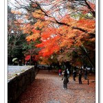 京都南禪寺、蹴上傾斜鐵道