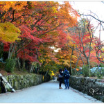 [宇治] 興聖寺~ 宇治必去賞楓景點