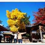 奈良東大寺~世界最大的木造建築