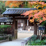 [宇治景點] 宇治神社、宇治上神社~ 日本現存最古老的神社建築，環境自然肅穆