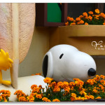 [香港] 沙田新城市廣場 史奴比樂園