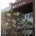 [台中親子餐廳] 梨子咖啡館 崇德店~處處都有小驚喜