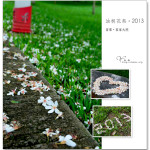 [苗栗銅鑼] 客家大院~ 油桐花季