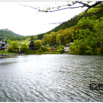 [九州由布院] 金鱗湖~ 晨霧瀰漫般的夢幻美景