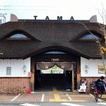 [和歌山一日遊] 貴志川線 ~貴志駅探訪可愛小玉站長