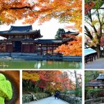 宇治一日遊，用悠閒的步調暢遊抹茶與源氏物語的故鄉