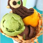 [台中西區] 巢健康手作坊~ 限量鳥巢冰淇淋好可愛好吸睛