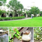 [苗栗卓蘭] 花露花卉休閒農場~ 城堡民宿好吸睛，親子同遊好所在！