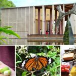 [南投埔里] 桃米輕碳小旅行野餐趣~ 暢遊山林，愜意迎風