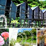 [苗栗頭屋] 雅聞七里香玫瑰森林觀光工廠~ 玻璃屋及歐式花園好吸睛，參觀免門票