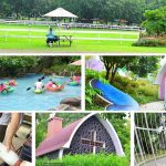 [嘉義中埔] 綠盈牧場~ 餵牛喝奶及賽鵝好有趣，親子同遊好去處！