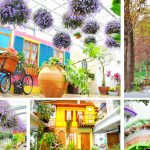 [彰化田尾] 菁芳園Tenway Cafe~ 紫色夢幻海豚花好浪漫，拍照下午茶好去處！