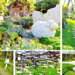 [苗栗三義] 雅聞香草植物工廠~ 大片沙坑及多肉植物好療癒，親子同遊也有趣