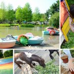 [彰化溪湖] 沐卉親子農場~ 自然簡單的遊樂環境，玩整天都不會膩