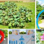 [彰化大村] 雙心池塘、平和夕照平台公園~ 愛心及超大鑽戒造景，浪漫滿分