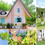 [雲林古坑] 蘿莎玫瑰莊園~ 歐風花園好吸睛，休憩悠遊好愜意