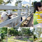 [苗栗卓蘭] Vilavilla魔法莊園~ 童話森林樹屋及大沙坑積木，親子同遊好玩有趣