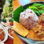 [花蓮美食] 家咖哩總店~隱身日式老宅中超人氣南洋風味咖哩，套餐附魚刺人雞蛋糕