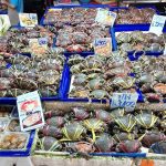 [芭達雅必吃] 納歌海鮮市場～新鮮海鮮現買現煮，在地人激推